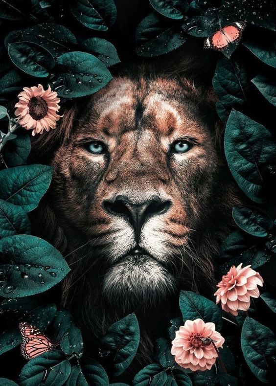 lev 
silové zvíře 
duchovní spojenec