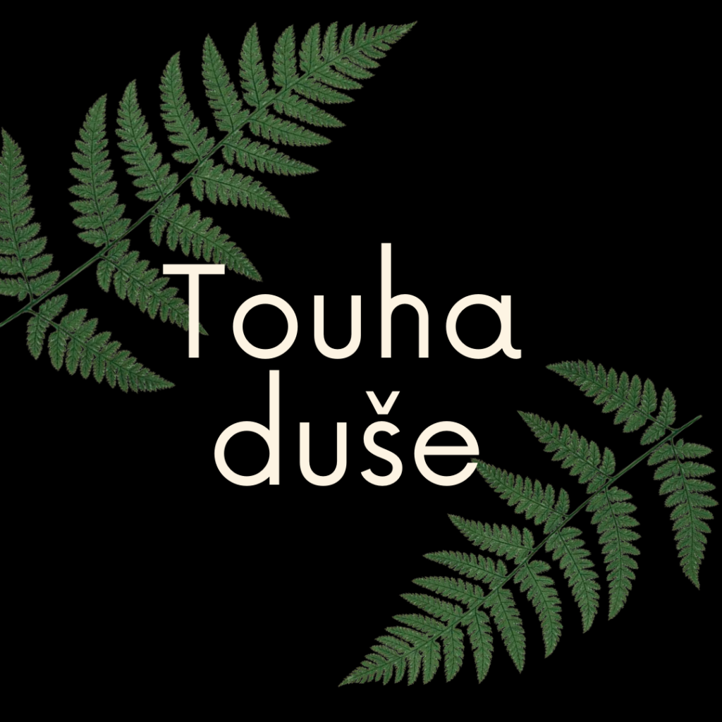touha duše