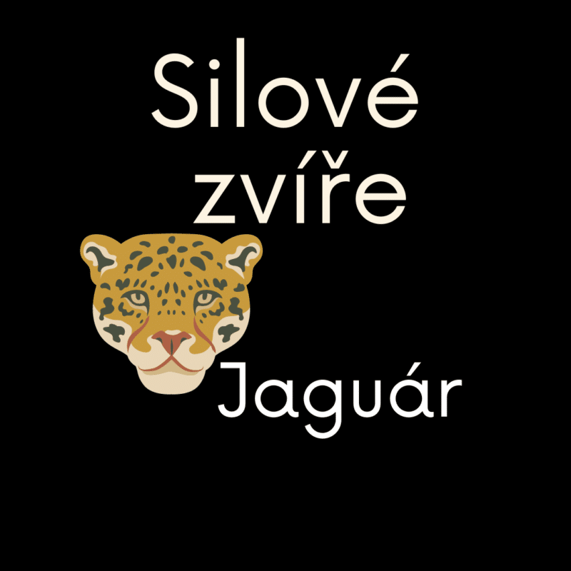 silové zvíře jaguár