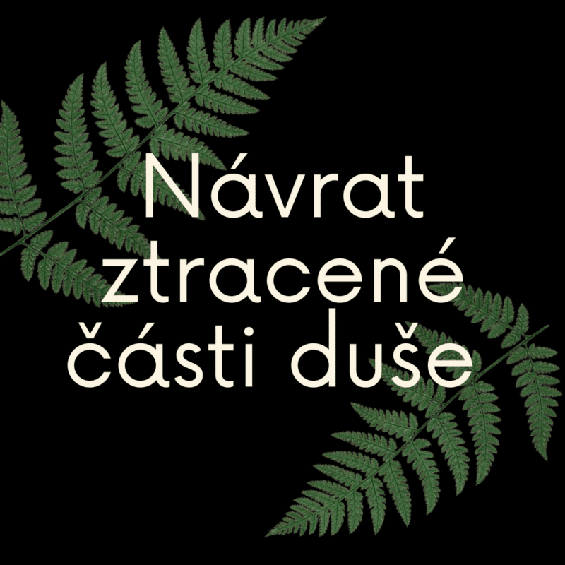 návrat ztracené části duše 3