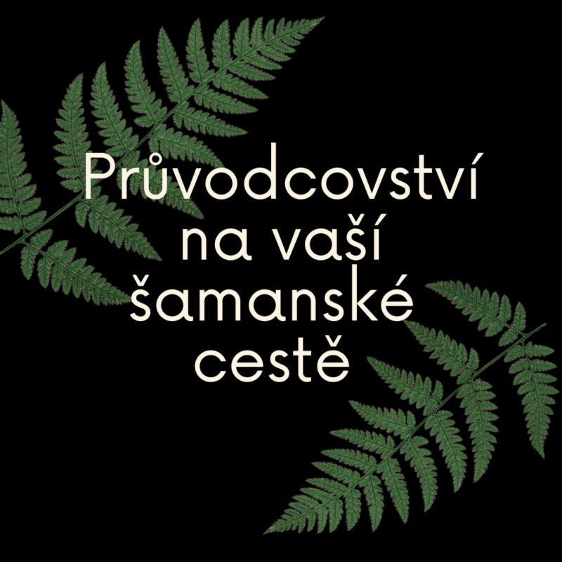 šamanská cesta